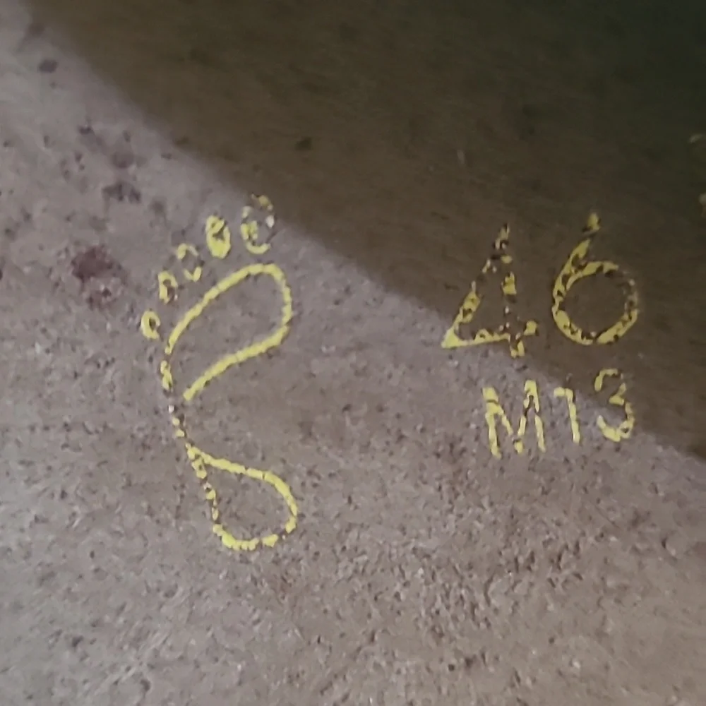 ✨️Excellent Men's Leather Birkenstocks✨️ - Picture 3 of 11